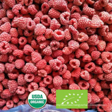 Nop, Nos, EU Organic IQF Frozen Organic Raspberry From China